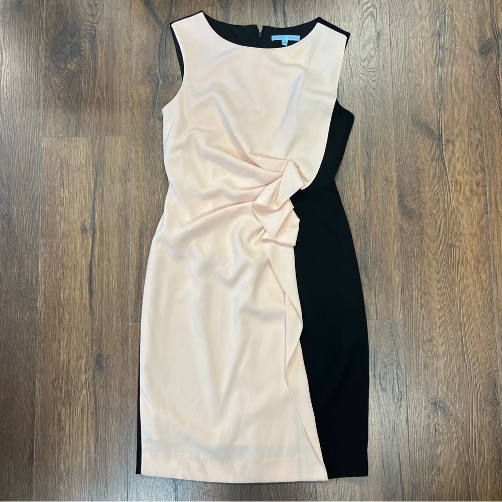 Antonio Melani pink and black ruffle front dress SZ 6
